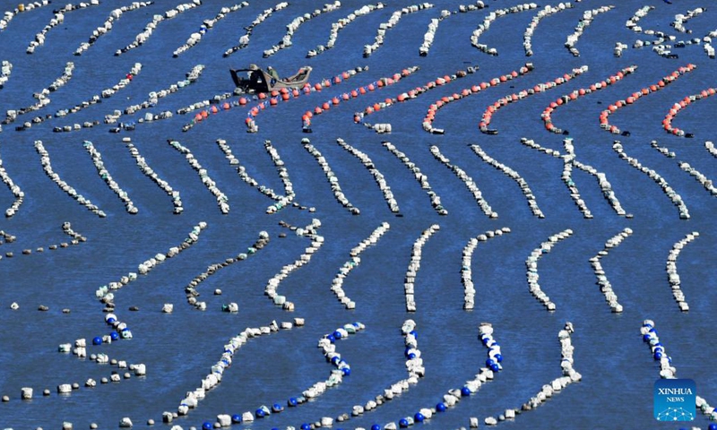 Photo taken on Dec. 1, 2021 shows an aquaculture area in Xiaocheng Township, Lianjiang County, southeast China's Fujian Province. Fishing boats sail between the floating buoys on water and breeding nets under water, creating an amazing and harmonious scenery of fish farming.(Photo: Xinhua)