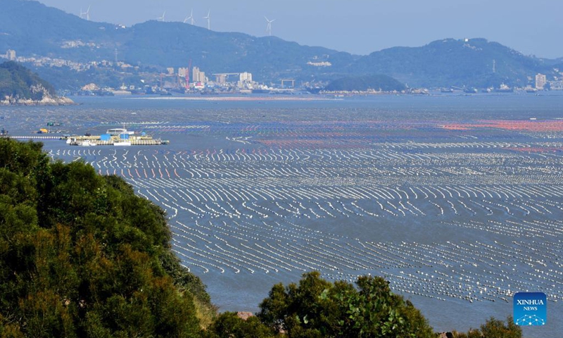 Photo taken on Dec. 1, 2021 shows an aquaculture area in Xiaocheng Township, Lianjiang County, southeast China's Fujian Province. Fishing boats sail between the floating buoys on water and breeding nets under water, creating an amazing and harmonious scenery of fish farming.(Photo: Xinhua)
