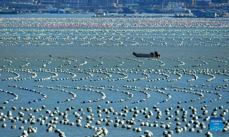 Photo taken on Dec. 1, 2021 shows an aquaculture area in Xiaocheng Township, Lianjiang County, southeast China's Fujian Province. Fishing boats sail between the floating buoys on water and breeding nets under water, creating an amazing and harmonious scenery of fish farming.(Photo: Xinhua)