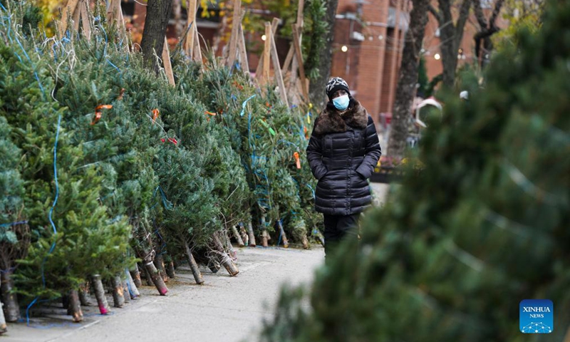 A woman walks through fresh Christmas trees for sale on a street in New York, the United States, Dec 2, 2021.Photo:Xinhua