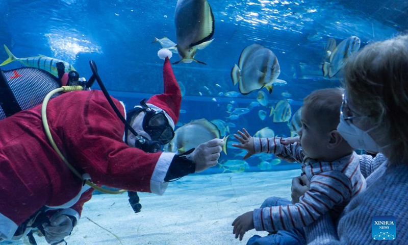A scuba diver in Santa Claus costume swims in the shark tank as part of the Christmas celebrations in Tropicarium Shark Zoo in Budapest, Hungary on Dec 2, 2021.Photo:Xinhua