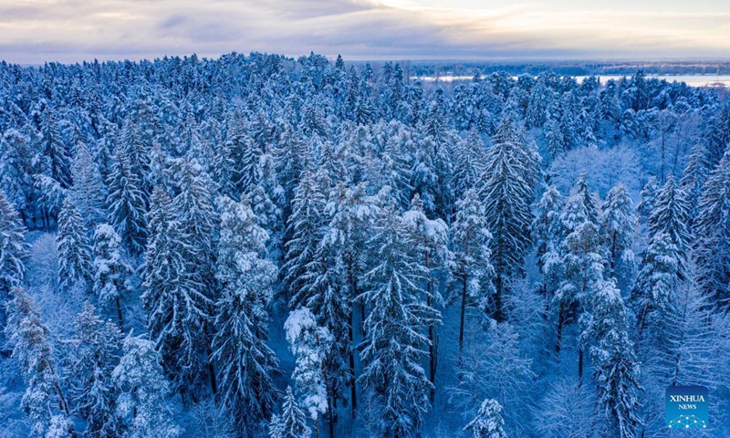 Photo taken on Dec. 5, 2021 shows the winter landscape in Ogre, Latvia.Photo:Xinhua