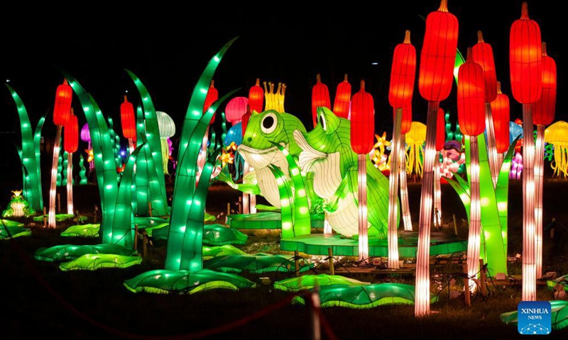 The light installation Frog Prince is seen during the Seasky International Light Show in Niagara Falls, Ontario, Canada, on Dec. 4, 2021.Photo:Xinhua