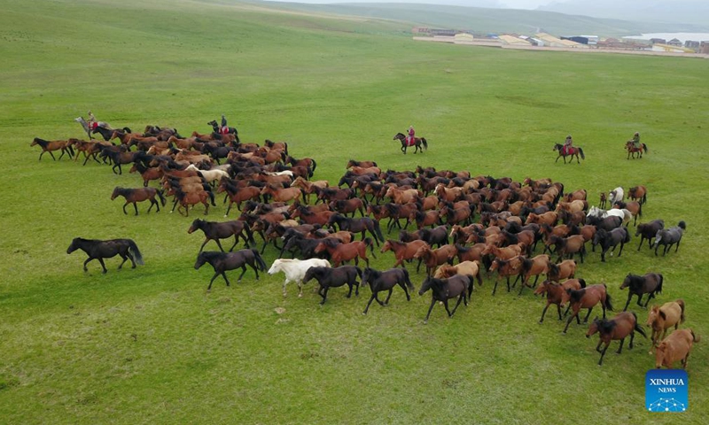 Aerial photo taken on June 19, 2021 shows horses galloping at the Shandan Horse Ranch in Shandan County, Zhangye City, northwest China's Gansu Province.Photo:Xinhua