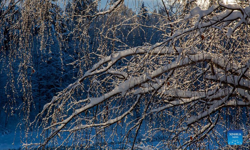 Photo taken on Dec. 5, 2021 shows the winter landscape in Ogre, Latvia.Photo:Xinhua