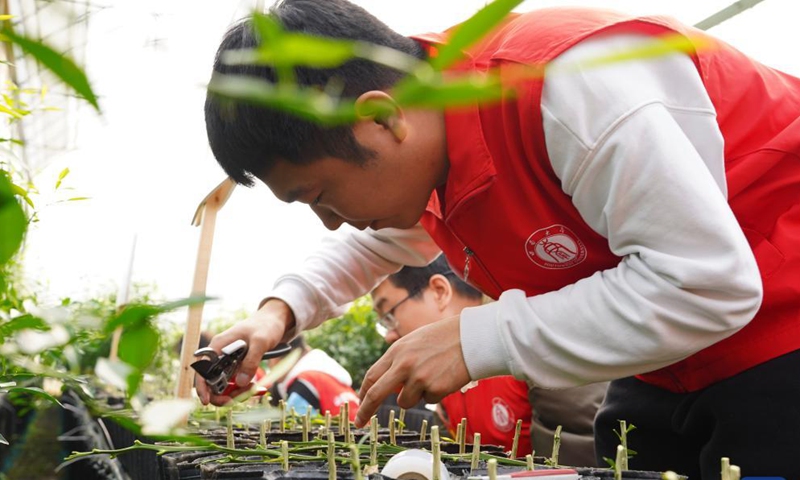Photo taken on Dec. 5, 2021 shows students from Southwest University taking part in a horticulture competition in southwest China's Chongqing Municipality.Photo:Xinhua