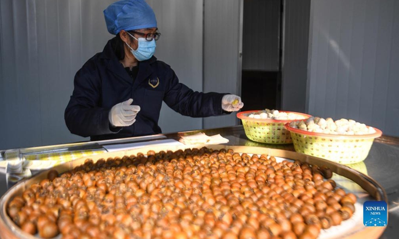 A worker processes kumquats into kumquat tea in Rong'an County, south China's Guangxi Zhuang Autonomous Region, Dec. 5, 2021.Photo:Xinhua