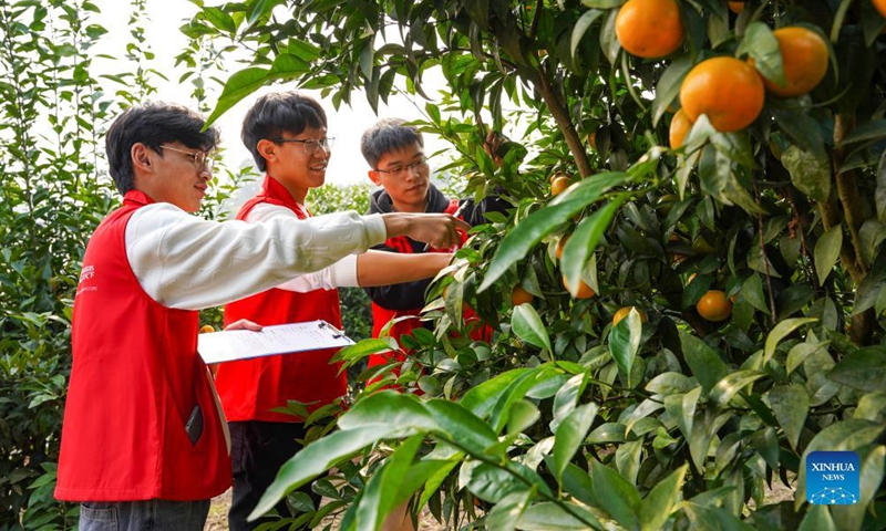 Photo taken on Dec. 5, 2021 shows students from Southwest University taking part in a horticulture competition in southwest China's Chongqing Municipality.Photo:Xinhua