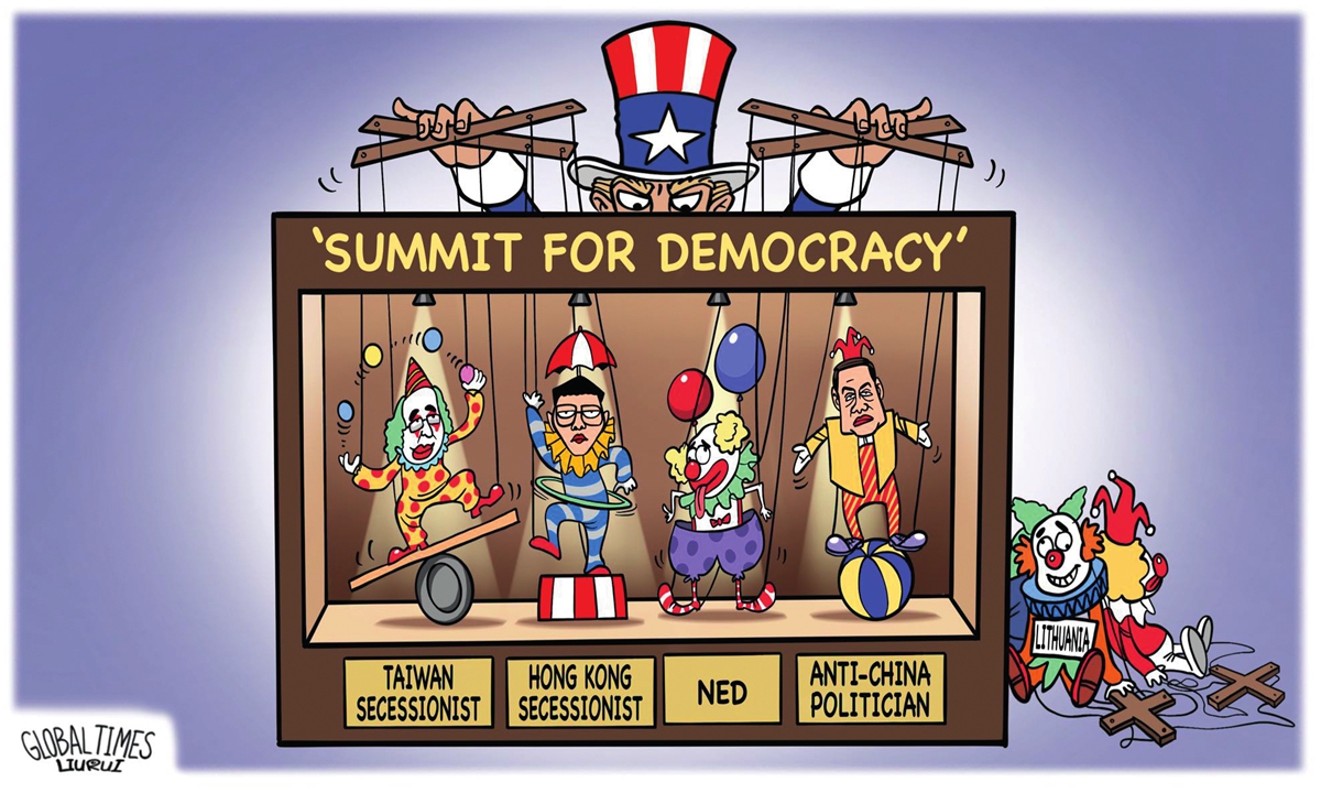 Democracy summit 