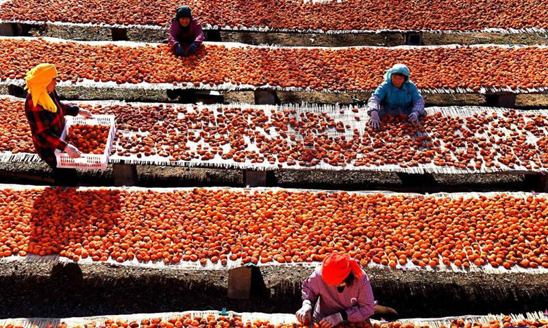 Villagers sort dried persimmons in Yiyuan County of Zibo, east China's Shandong Province, Dec. 7, 2021. Persimmon processing is one of the industries with local features which helps villagers increase income. (Xinhua)
