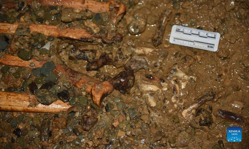 Undated handout photo shows a giant panda fossil found by researchers from the Institute of Mountain Resources under Guizhou Academy of Sciences. A giant panda fossil, dating back over 100,000 years, has been uncovered in Asia's longest cave in southwest China's Guizhou Province, researchers said Wednesday.   (Institute of Mountain Resources under Guizhou Academy of Sciences/Handout via Xinhua)