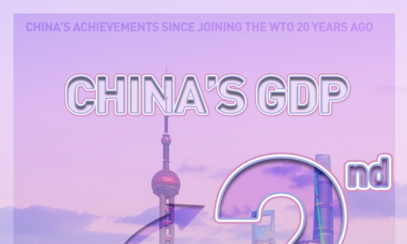 Infographic Chinas 20 Years In The Wto Global Times