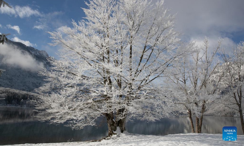 Photo taken on Dec. 7, 2021 shows the winter landscape of Lake Bohinj in Triglav National Park, Slovenia.Photo:Xinhua