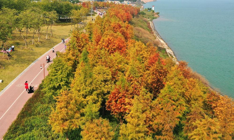 Aerial photo taken on Dec. 12, 2021 shows colorful leaves at a riverside park in Nanning, south China's Guangxi Zhuang Autonomous Region.Photo:Xinhua