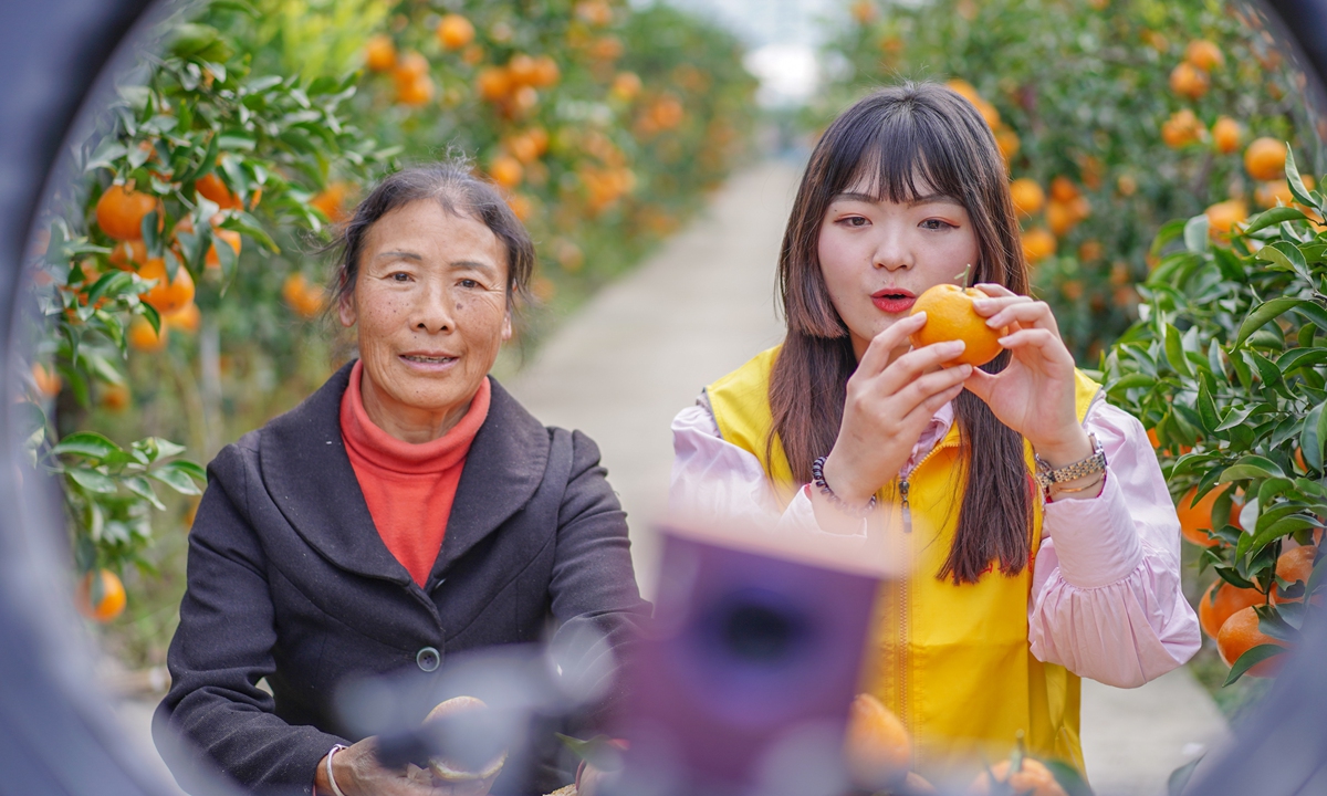 A volunteer helps farmers sell oranges through livestreaming in Meishan, Southwest China's Sichuan Province on December 8, 2021. Livestreaming has increasingly become a new platform for farmers to sell their fruits. In 2020, the scale of livestreaming e-commerce platforms neared 1 trillion yuan ($157 billion). Photo: cnsphotos