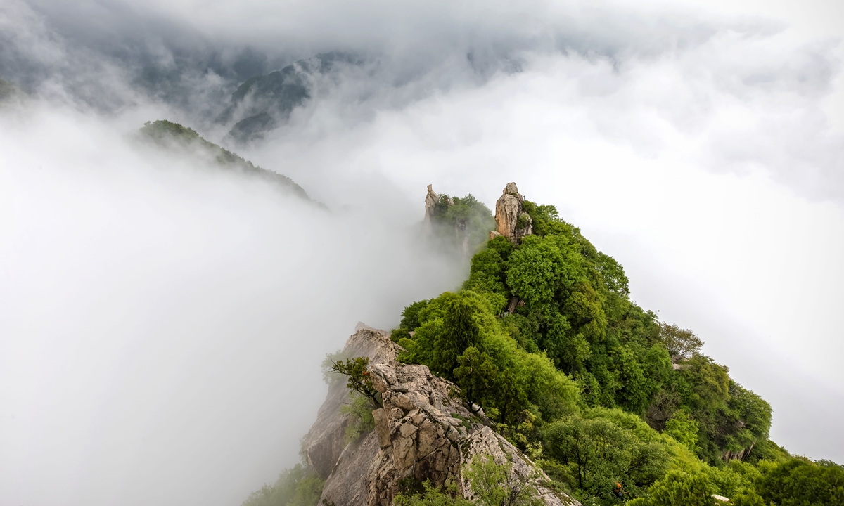 White clouds blanket the Qinling Mountains. Photo: VCG