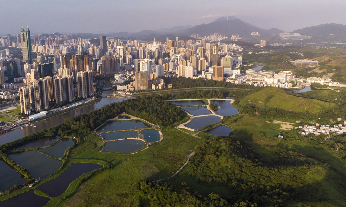 The underdeveloped northern part of Hong Kong adjacent to the high-rises Shenzhen is expected to be developed into a metropolitan area ideal for people to live, work and travel. Photo: VCG  