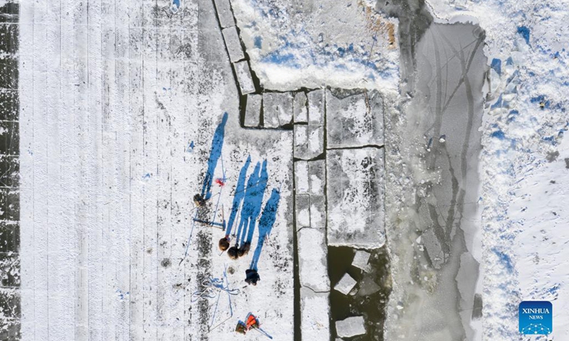 Workers collect ice cubes from the Songhua River in Harbin, capital of northeast China's Heilongjiang Province, Dec. 17, 2021. Ice cubes collected from the frozen Songhua River will be used in the decoration of the Harbin Ice and Snow World Park.Photo:Xinhua