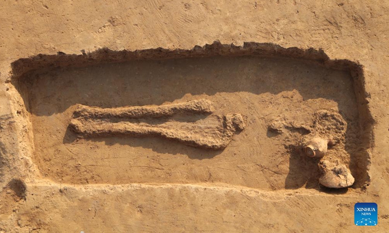 File photo shows an ancient tomb found in the Peiligang cultural site in Xinzheng, central China's Henan Province.Photo:Xinhua