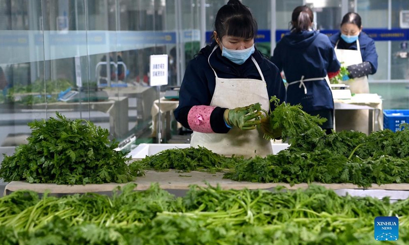 Staff members sort out vegetable at a logistics center in Xi'an, northwest China's Shaanxi Province, Dec. 19, 2021.Photo:Xinhua