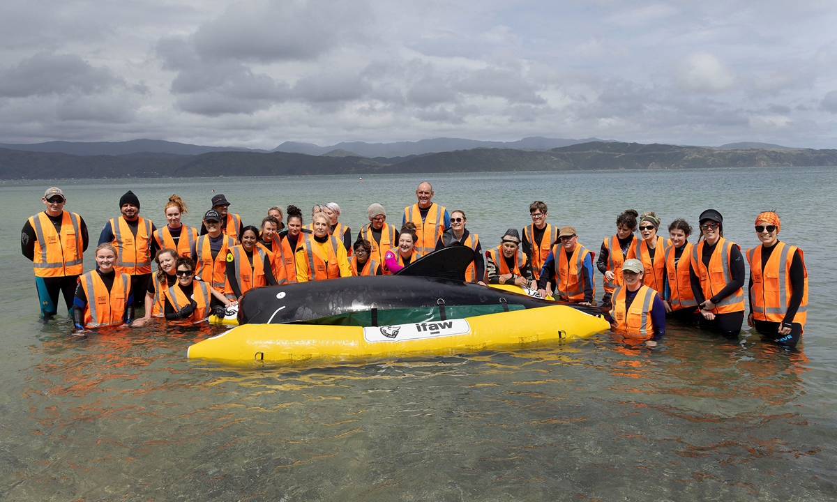 A group of New Zealand whale rescue charity Project Jonah volunteers and trainers pose for a photo as they attend a class on how to save beached whales, at Scorching Bay in Wellington, New Zealand on December 11, 2021. Photo: AFP