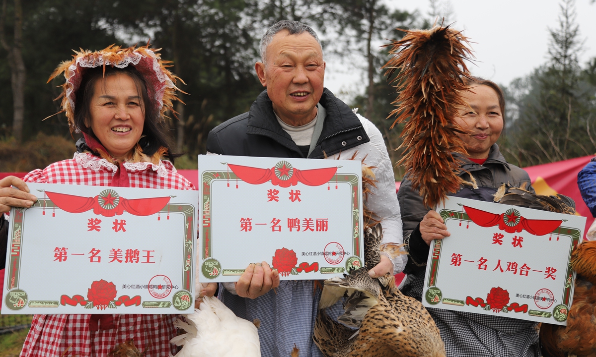 Beauty pageant for chicken, duck, and goose Beauty pageant for chicken, duck, and goose