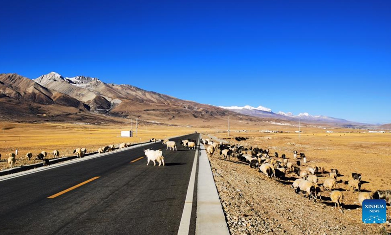Photo taken on Oct. 31, 2020 with a mobile phone shows the view of a road in Yangbajain, Lhasa, southwest China's Tibet Autonomous Region. The road network in Tibet has stretched over 118,800 km as of the end of 2020.(Photo: Xinhua)