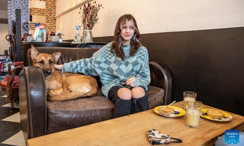 A girl plays with a dog at the Waf Cafe in Lille, northern France, Dec. 22, 2021. The Waf Cafe in Lille permanently welcomes dogs that have been abandoned. Customers can play with or simply pet them. Since its creation five years ago, more than 100 abandoned dogs have found a family thanks to the Waf Cafe.(Photo: Xinhua)