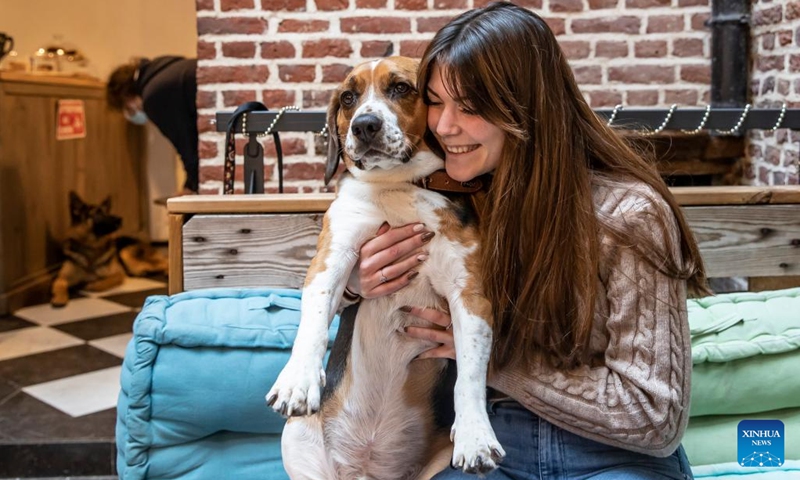 A girl plays with a dog at the Waf Cafe in Lille, northern France, Dec. 22, 2021. The Waf Cafe in Lille permanently welcomes dogs that have been abandoned. Customers can play with or simply pet them. Since its creation five years ago, more than 100 abandoned dogs have found a family thanks to the Waf Cafe.(Photo: Xinhua)