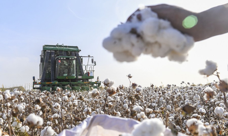 A cotton picking machine moves in a cotton field in Dolatbag Town of Bachu County, northwest China's Xinjiang Uygur Autonomous Region. File photo: Xinhua