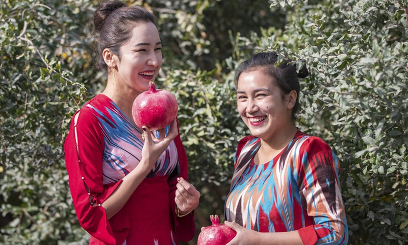 Farmers pick pomegranates in Pishan County in Hotan, northwest China's Xinjiang Uyghur Autonomous Region, October 8, 2020 (Photo: Xinhua)