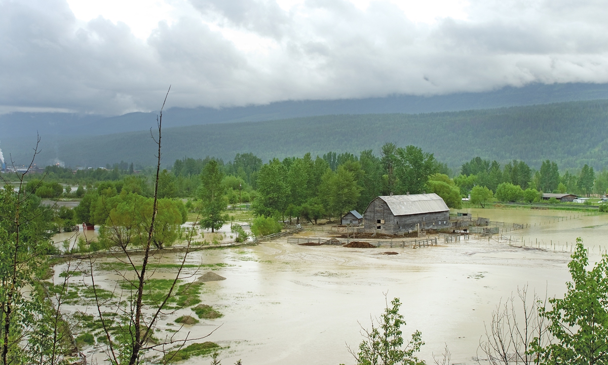 Flooded farmland on the Columbia River, British Columbia, Canada Photo: VCG