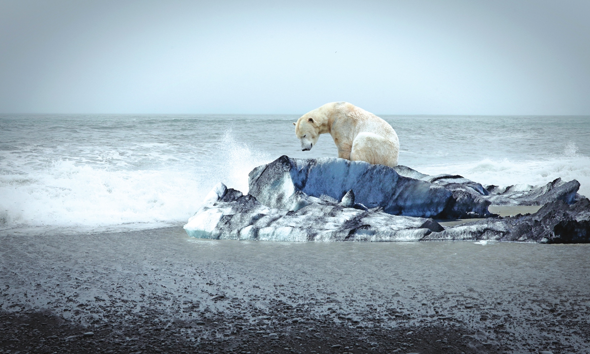 Climate change 2021: There's no turning back now - Vimarsana News
