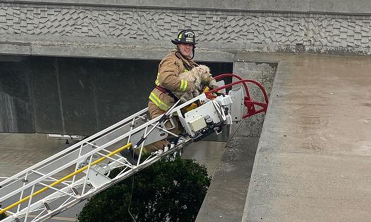 A firefighters in California used a ladder truck to come to the rescue of a dog. Screenshot from UPI