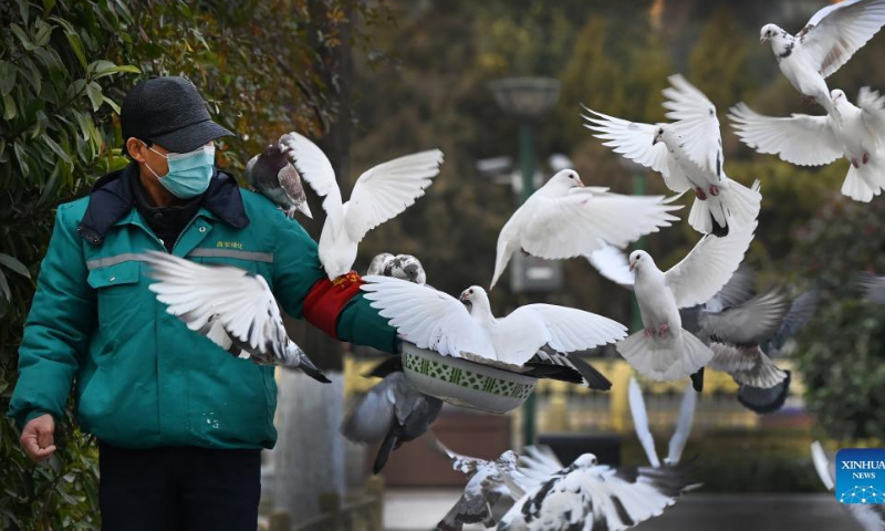 A staff member feeds pigeons at Xincheng Square in Xi'an, northwest China's Shaanxi Province, Dec. 28, 2021. Authorities in Xi'an have upgraded epidemic control and prevention measures starting Monday, ordering all residents to stay indoors and keep away from gatherings except when taking nucleic acid tests. (Xinhua)