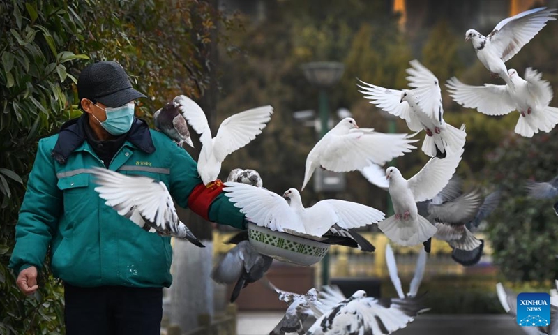 A staff member feeds pigeons at Xincheng Square in Xi'an, northwest China's Shaanxi Province, Dec. 28, 2021. Authorities in Xi'an have upgraded epidemic control and prevention measures starting Monday, ordering all residents to stay indoors and keep away from gatherings except when taking nucleic acid tests.(Photo: Xinhua)