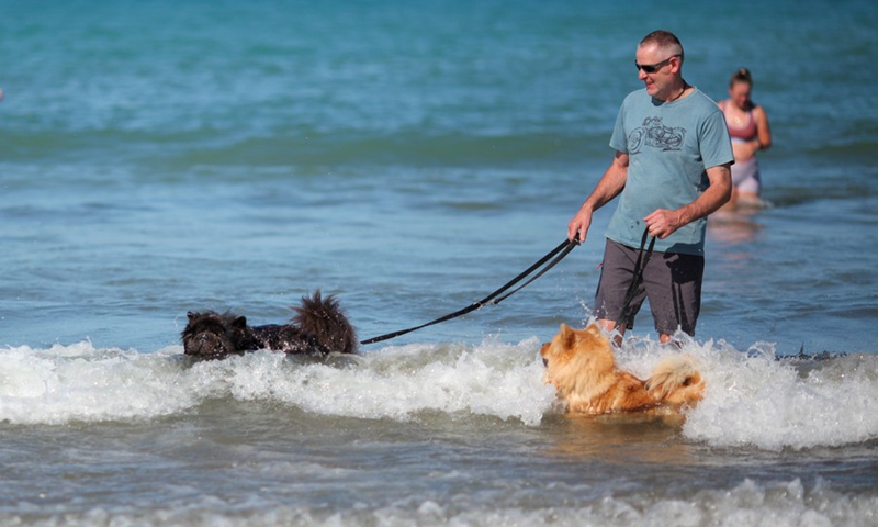 People enjoy leisure time on the beach in Auckland, New Zealand, on Jan. 4, 2022.(Photo: Xinhua)