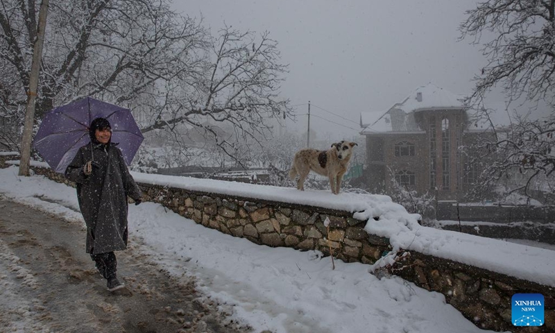 A boy walks past a dog amid the season's first snowfall in Srinagar city, the summer capital of Indian-controlled Kashmir, Jan. 4, 2022. Srinagar city witnessed the season's first snowfall on Tuesday.(Photo: Xinhua)
