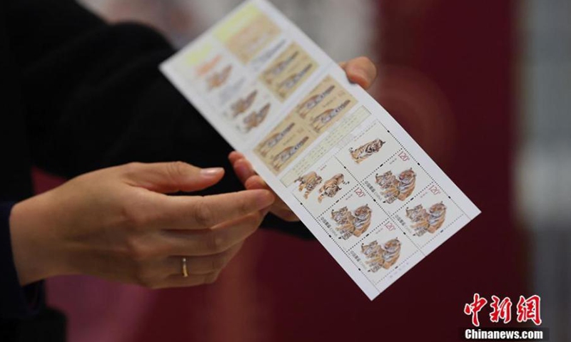 A postal worker shows the tiger-patterned special stamps in Nanjing, east China's Jiangsu Province, Jan. 5, 2022. (Photo: China News Service/Yang Bo)