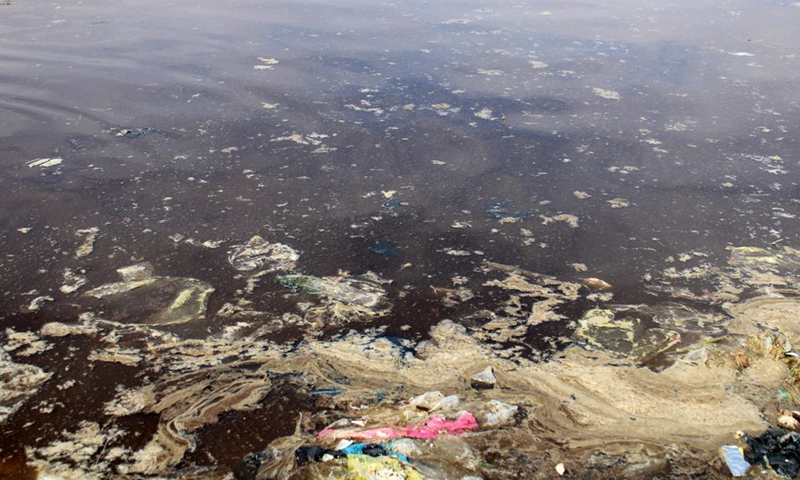 Photo shows the polluted Lake Qarun in Fayoum Province, Egypt, on Jan. 4, 2022.(Photo: Xinhua)