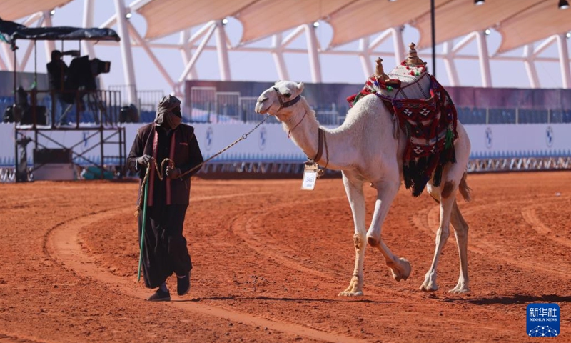 A camel is shown during the King Abdulaziz Camel Festival in north of Riyadh, Saudi Arabia, on Jan. 5, 2022. The festival kicked off here on Dec. 1, 2021, with the participation of about 33,000 camel owners.Photo:Xinhua