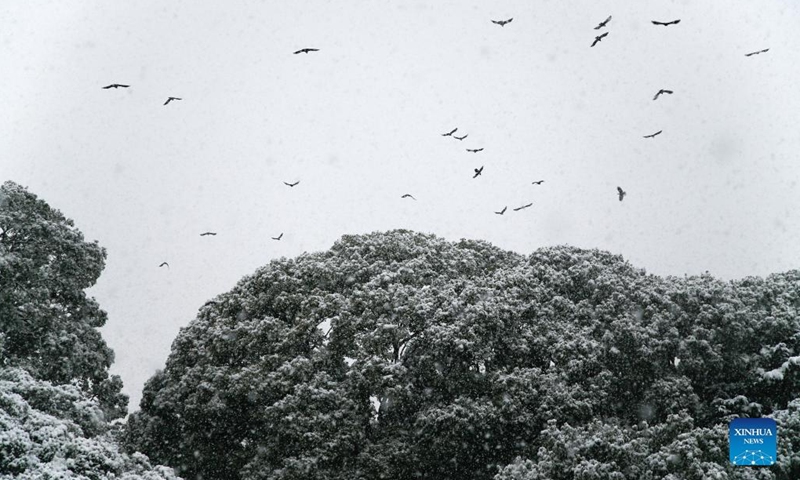 Photo taken on Jan. 6, 2022 shows the snow scenery at Meiji Jingu in Tokyo, Japan(Photo: Xinhua)