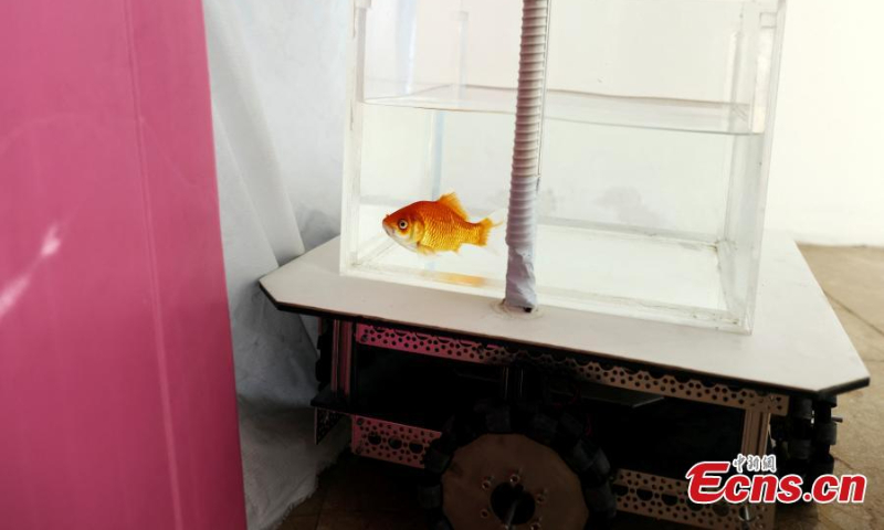 A research team at Ben-Gurion University of Israel develops a fish-operated vehicle. (Photo/Agencies)