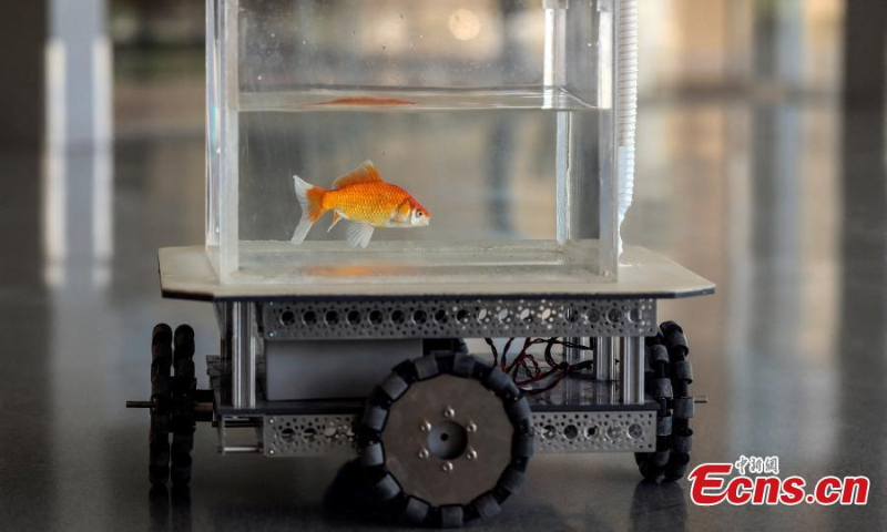 A research team at Ben-Gurion University of Israel develops a fish-operated vehicle. (Photo/Agencies)