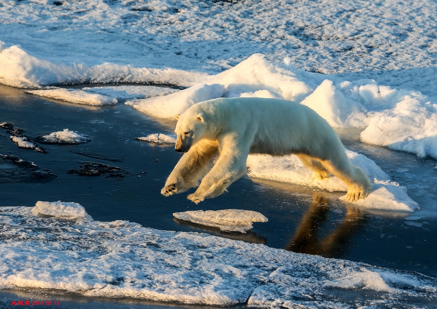 Photo: Courtesy of Wang Shaoqing