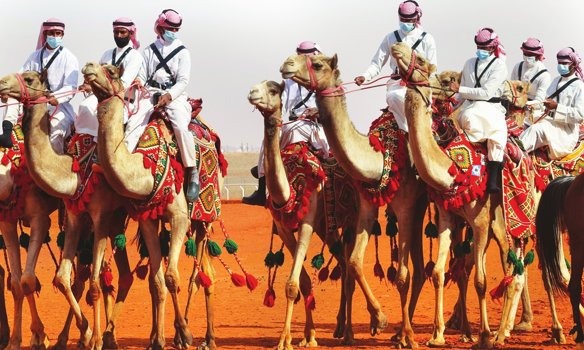 Women's camel pageant makes debut in Saudi Arabia - Global Times
