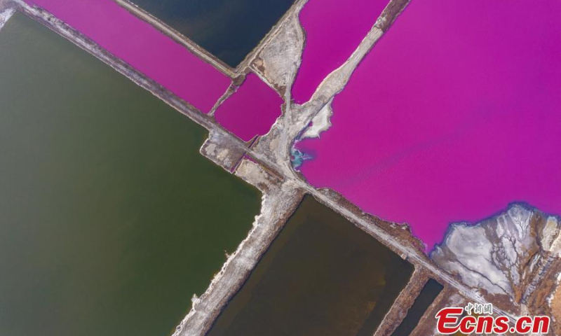 The pink water of a salt lake in Yuncheng City, Shanxi Province, Jan. 12, 2022. (Photo/IC Photo)