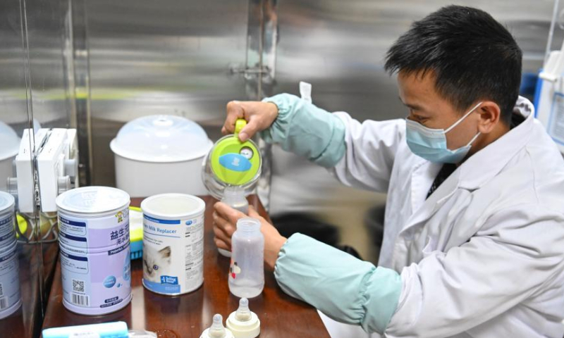 A care worker makes formula exclusive to the twin cubs, January 12, 2022. (Photo: China News Service/Chen Jimin)