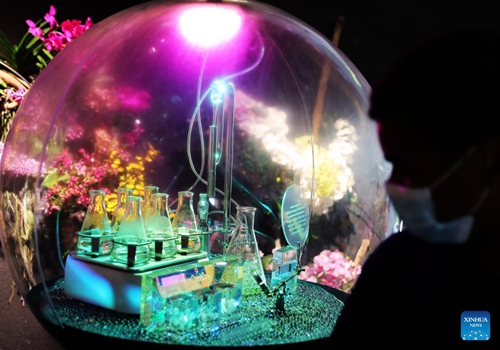 A tourist visits the Singapore Pavilion of the Expo 2020 Dubai in Dubai, the United Arab Emirates, on Jan. 11, 2022.(Photo: Xinhua)