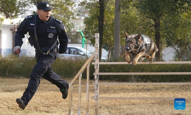 Police dog Anna gets trained by its instructor Liang Wenlong in Wuhan, capital of central China's Hubei Province, Jan. 12, 2022. Policemen of the Wuhan Railway Bureau started to train police dogs to ensure the safety of passengers during the upcoming Spring Festival travel rush. This year's Spring Festival falls on Feb. 1.(Photo: Xinhua)